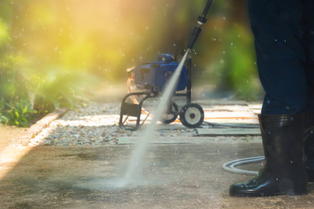 Best Animal Enclosure Cleaning  in Farley, IA